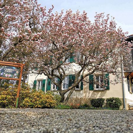 La Tirelire Panzió Cosswiller Kültér fotó